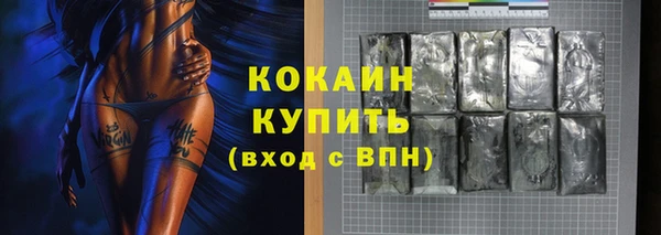 тгк Абаза