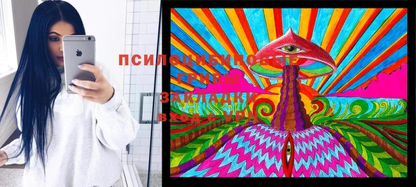 стаф Абдулино