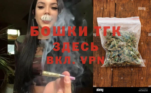 тгк Абаза